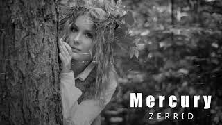 ZERRID - Mercury Resimi