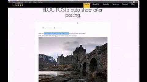 FullScreen WordPress Theme "Howto" help video.