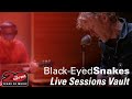 Black-Eyed Snakes - Full live session at The Current (2018)