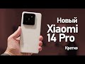 Xiaomi 14 Pro - Первый взгляд и впечатление. Кратко