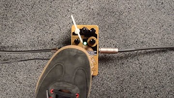 Catalinbread Echorec Swell