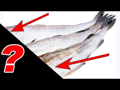 ПОЧЕМУ ХЕК ПРОДАЕТСЯ БЕЗ ГОЛОВЫ?