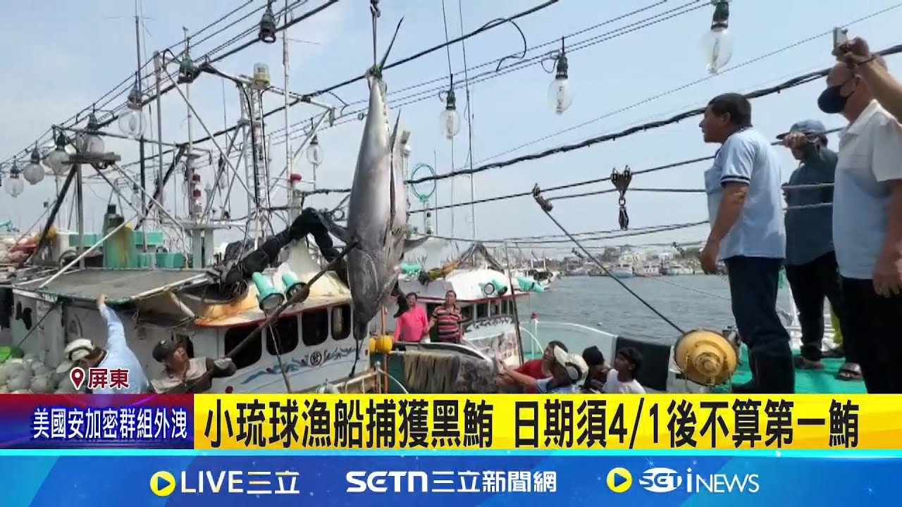 小琉球漁船捕獲黑鮪 “需在4/1後”才算第一鮪 花蓮外海捕”黑鮪” 重量未達180公斤不算”第一鮪”│記者 朱俊傑 翁郁雯│新聞一把抓20250325│三立新聞台