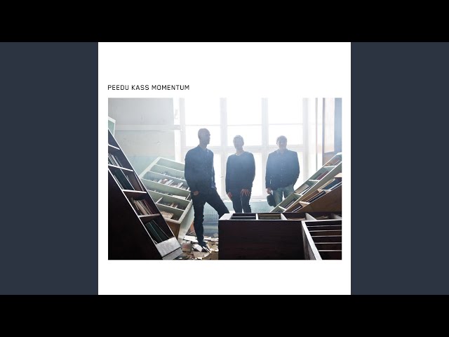 PEEDU KASS MOMENTUM - Aias