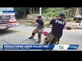 Emergency crews rescue person pinned under large tree trunk