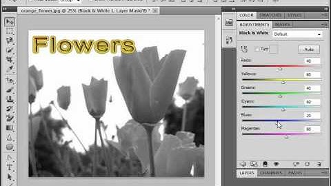 Photoshop CS5 Tutorial Adjutment Layers & Fill Layers Adobe Training Lesson 10.2