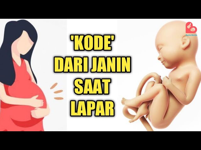 JANIN BISA LAPAR !? KENALI GEJALA DAN KODENYA .. class=