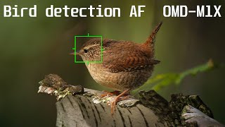 Bird detection AF - E-M1X - from Russia with Love, Обновление Прошивки Version 2.0