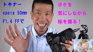 【トキナーopera 50mm F1.4 FF】ボケを気にしながら桜を撮る！（動画No.261）