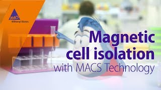 Magnetic cell isolation with MACS Technology