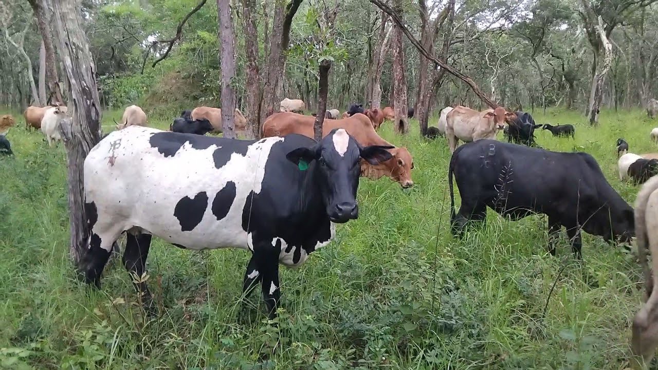 Сила семьи в сельском хозяйстве!