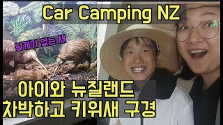 뉴질랜드 북섬 여행.어린이와 차박하고 키위새 봤어요.오토로항가.이스터ep2(Eng sub)