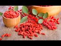 Berberine: A Powerful Remedy for Diabetes, High Cholesterol and More