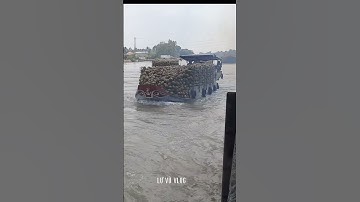 Ghe dừa vượt cống tấp nập.#shorts