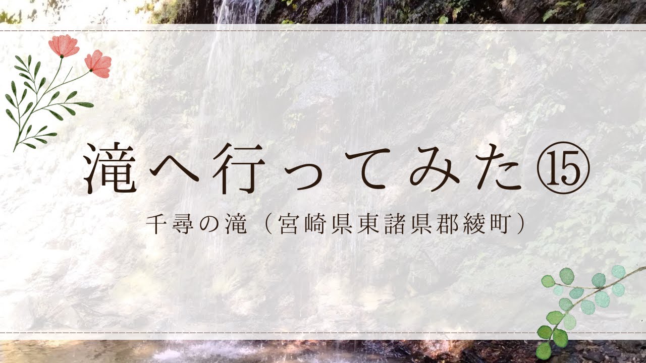 滝へ行ってみた⑮：千尋（せんびろ）の滝 （宮崎県東諸県郡綾町）#初心者 #絶景 #九州 #自然 #滝 #滝好き #散策 #宮崎県 #小林市 #鹿児島県 #滝