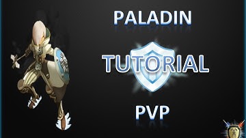 DN - Paladin/Crusader PvP Combo Tutorial