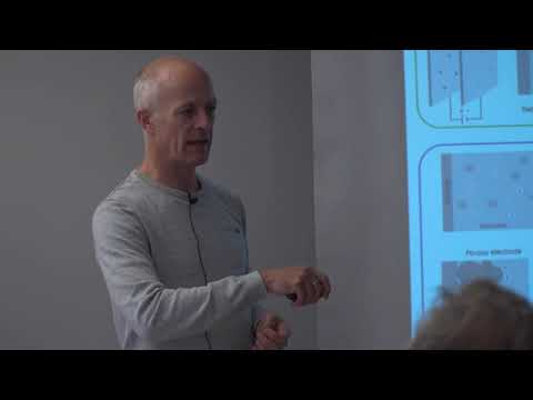 Wood based supercapacitors