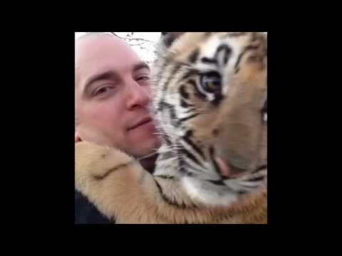 rip vine part 2