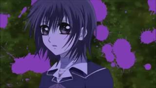 Vampire Knight AMV \