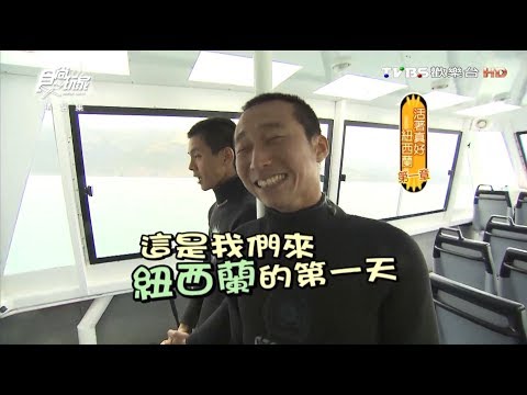 食尚玩家【紐西蘭】與海豚徜徉大海～活著真好第一章！【浩角翔起】