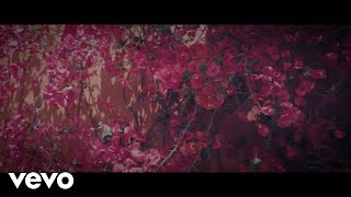 Jules Riding - Joy Comes in the Morning