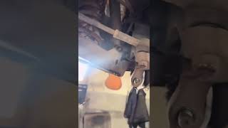 How does a cat even achieve this? #Shorts #Reels #Viral #Cars #Cats #Meme