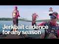 How to fish a jerkbait in every season