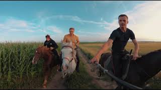 Полевой галоп на лошадях 360 5K | Horse gallop 360 5K