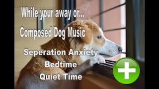 Dog Relaxation Music Video For Short Term Separation Anxiety...While Your Away... by The Dog Empire-Dog Relaxation Music 706 views 4 years ago 4 hours, 27 minutes