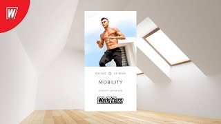 : MOBILITY    | 18  2024  8.00  | - World Class