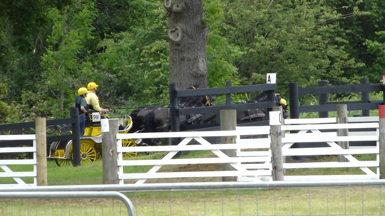 69 Bowman GBR), FEI Horse Fours, Sandringham Horse Driving