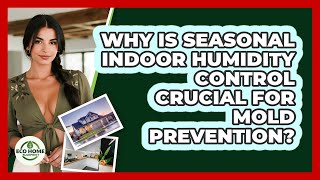 Why Is Seasonal Indoor Humidity Control Crucial For Mold Prevention? - Eco Home Blueprint