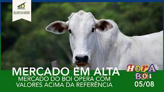HORA DO BOI 05/08 - MERCADO DO BOI OPERA COM VALORES ACIMA DA REFERÊNCIA