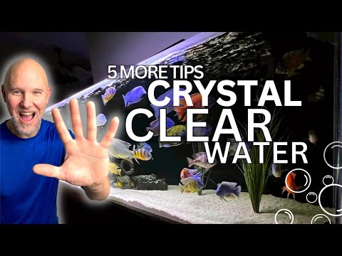 CRYSTAL CLEAR Aquarium Water | 5 More INGENIOUS Tips!