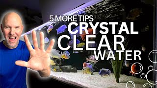 CRYSTAL CLEAR Aquarium Water | 5 More INGENIOUS Tips!