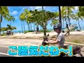 【ハワイ観光】原付を借りてハワイ🌺を楽しむヒロミさんの巻【切り抜き】