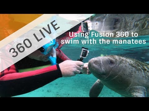 360 LIVE: 3D Printing from Fusion 360 to swim with the manatees