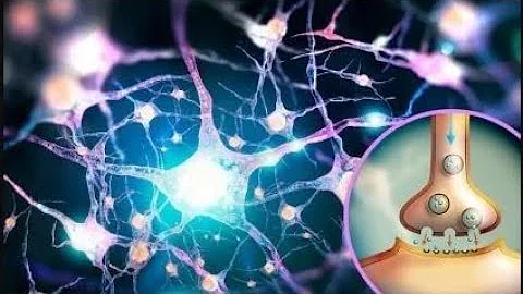 Como é formado o glutamato?