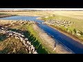 Sheep Farming | Marbilling Farms, Western Australian Wheatbelt