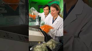 Food packaging | Wikipedia audio article