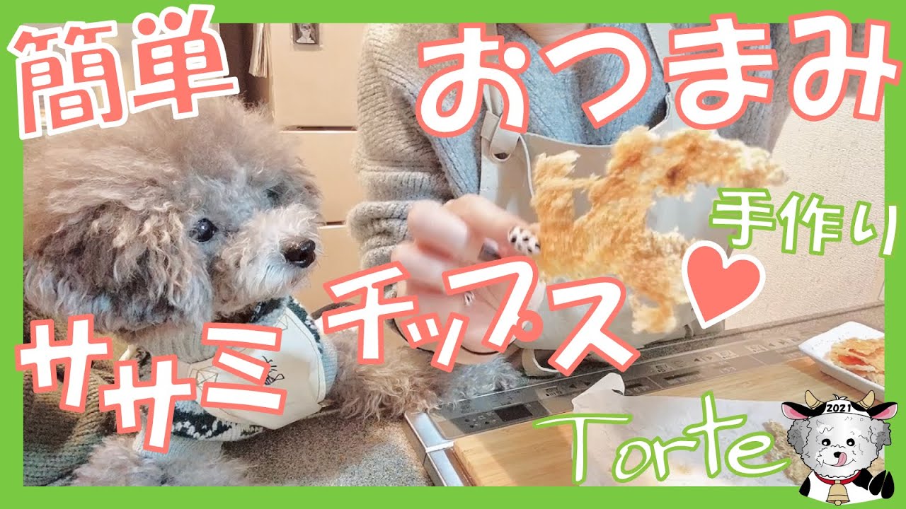 一緒にやってみよう 犬用手作りおやつの作り方 絶品おやつのササミチップスを愛犬と一緒に作って食べてみた トイプードルのtorte Channel Youtube