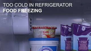 Famous Too Cold in Refrigerator Causing Food to Freeze Net Worth
