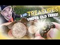 3 treasure hunts in one! Epic Roman, Victorian and Tudor finds!