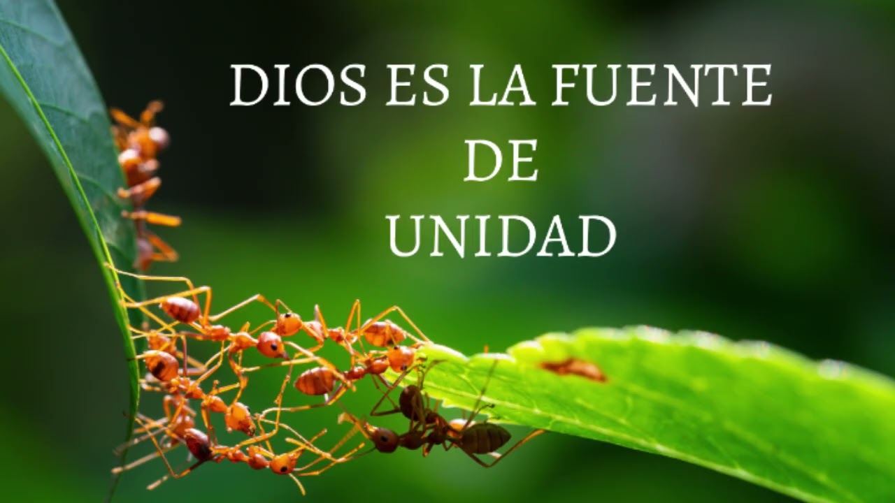 DIOS ES LA FUENTE DE UNIDAD