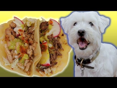 Question Is Carne Asada Good For Dogs Bikehike Question Is Carne Asada Good For Dogs Bikehike