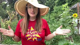 Favorite Garden Tips and Tricks