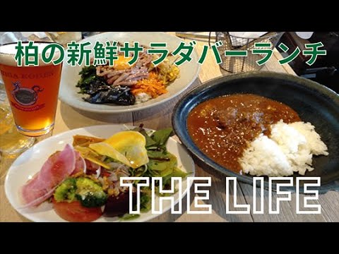 The Life 柏駅徒歩１分のオシャレカフェ バーでサラダバーランチ Youtube