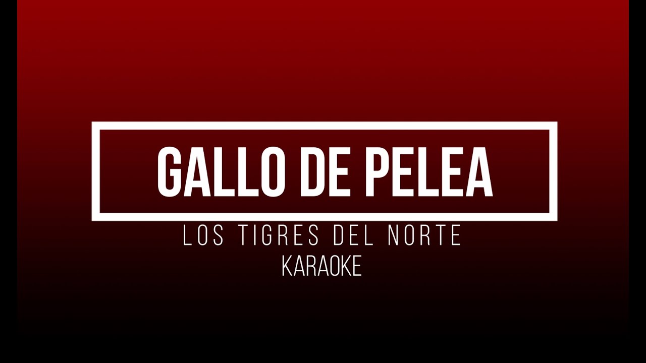 GALLO DE PELEA-LOS TIGRES DEL NORTE (KARAOKE)