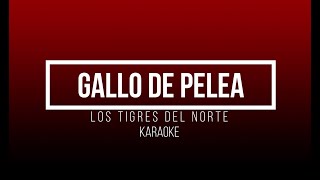 Vídeo de Gallo De Pelea