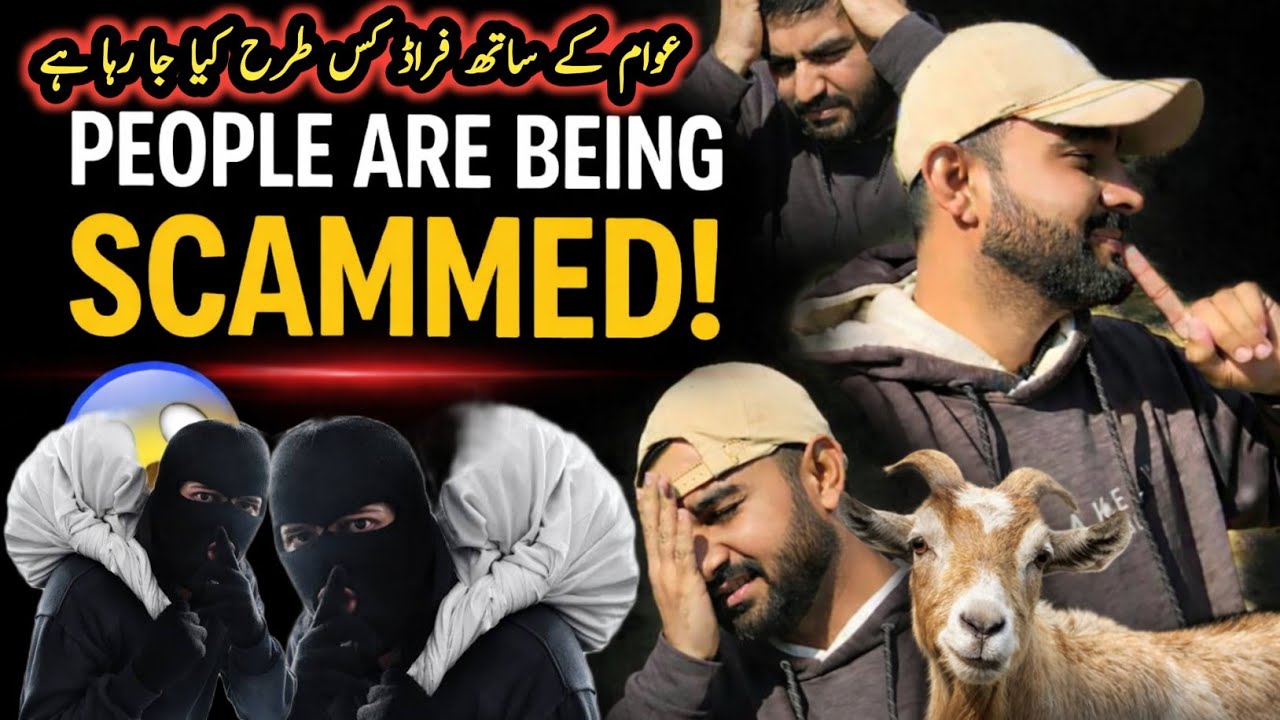 People are Being Scammed|Logo ka sath ks tra frad kiya jata ha|Israr ahmed official 